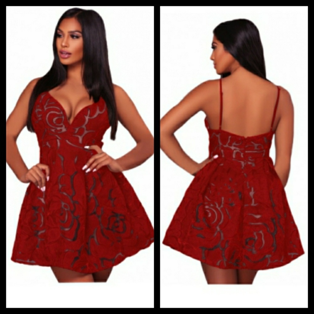 Sexy Lace Illusion Sexy Skater Dress
